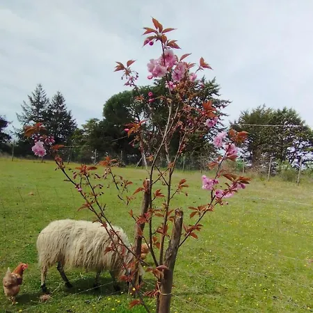 Il Ramerino